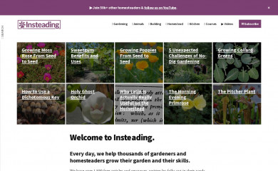 insteading.com screenshot
