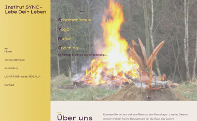 institut-sync.at screenshot