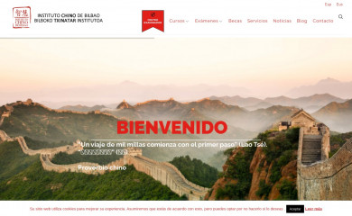 institutochinodebilbao.com screenshot