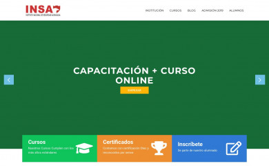 institutoinsa.cl screenshot
