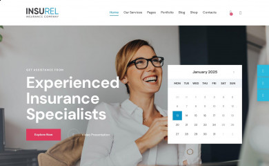 InsuRel screenshot