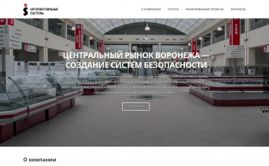 int-sys.ru screenshot