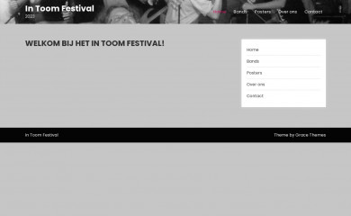 intoomfestival.nl screenshot