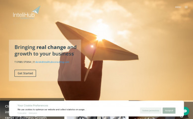 intelihubconsulting.com screenshot