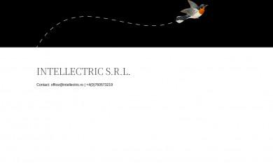 intellectric.ro screenshot
