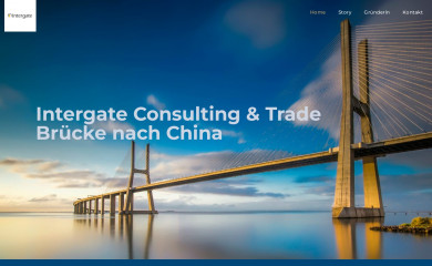 intergate-consulting.de screenshot