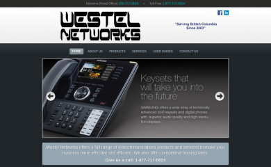 interiortelecom.com screenshot