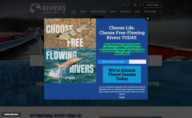 internationalrivers.org screenshot