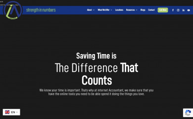 internetaccountant.com screenshot