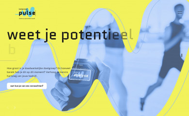 internetpulse.nl screenshot