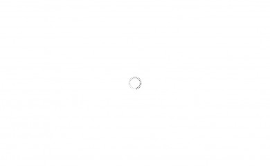 intir.ru screenshot