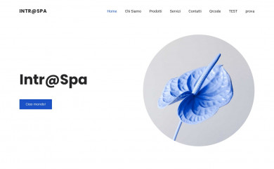 intraspa.it screenshot
