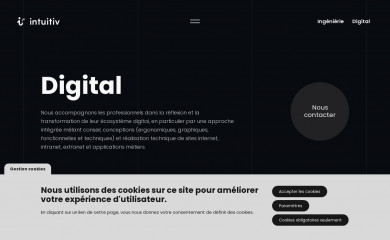 intuitiv-interactive.com screenshot