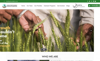 ipsfoundation.org screenshot