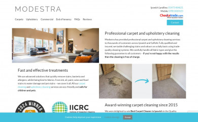 ipswichcarpetcleaner.co.uk screenshot