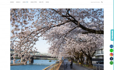 ireneslife.com screenshot