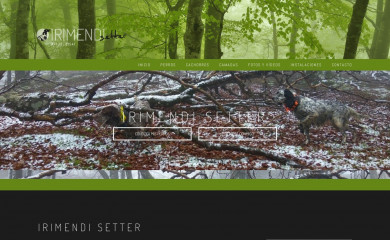 irimendisetter.com screenshot