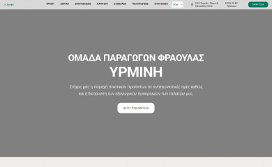 irmini.gr screenshot