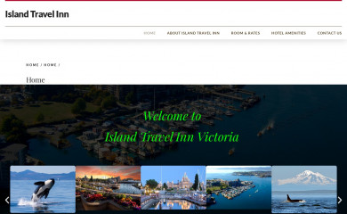 islandtravelinn.com screenshot