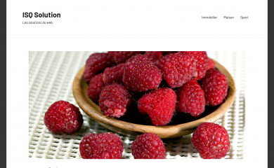 isqsolutions.com screenshot