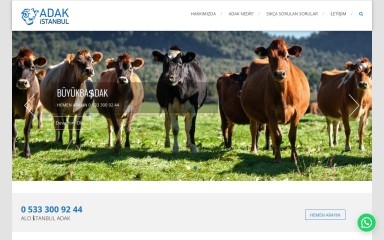 istanbuladak.com screenshot