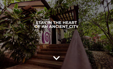 junglelodgetikal.com screenshot