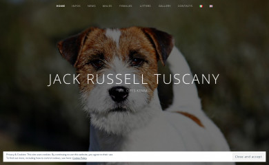 jackrussellmrcipi.com screenshot
