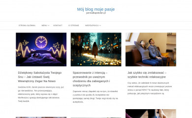 jamnadlapokolen.pl screenshot