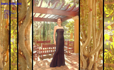 janicetaylorarts.com screenshot
