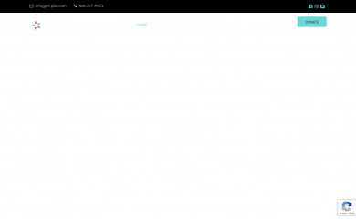 jet-pac.com screenshot