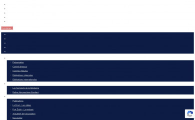 jeunes-ihedn.org screenshot