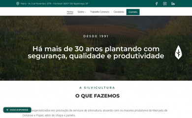 jfi.com.br screenshot
