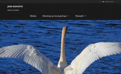 jonikoivisto.fi screenshot