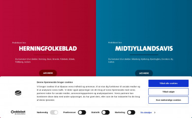 journalistpraktikant.dk screenshot