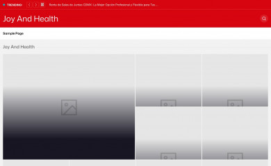joyandhealth.net screenshot