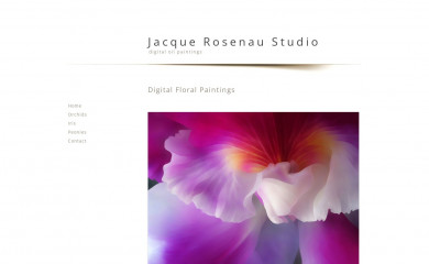 jrosenaustudio.com screenshot