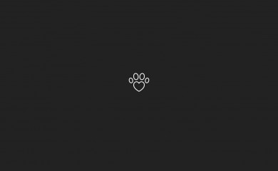 k9to5.com.au screenshot