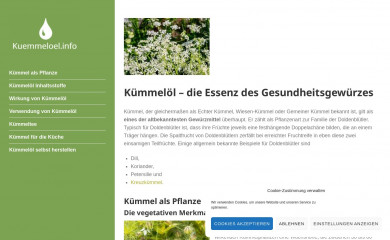 kuemmeloel.info screenshot