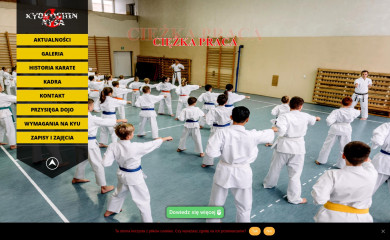 kyokushin-nysa.pl screenshot
