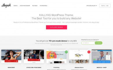 Kallyas Child screenshot