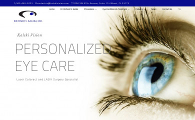 kalskivision.com screenshot