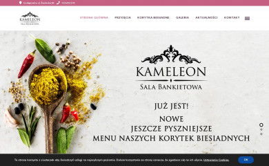 kameleonsalabankietowa.pl screenshot