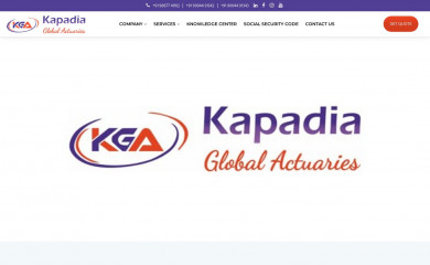 kapadiaglobal.com screenshot