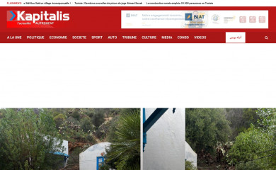 kapitalis.com screenshot