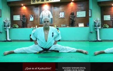 karatekyokushin.cl screenshot