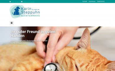 https://karin-steppuhn.de/ screenshot
