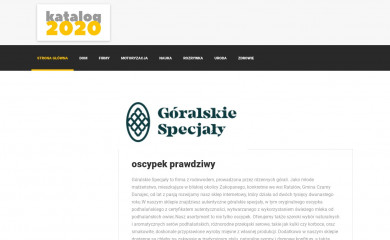 katalog2020.com.pl screenshot