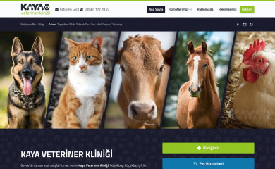 kayaveterinerklinigi.com screenshot