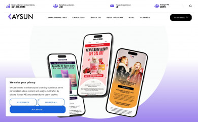 kaysunmarketing.com screenshot