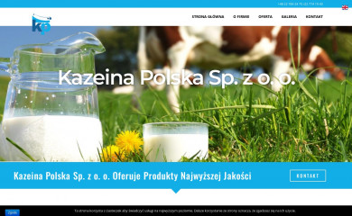 kazeina.com screenshot